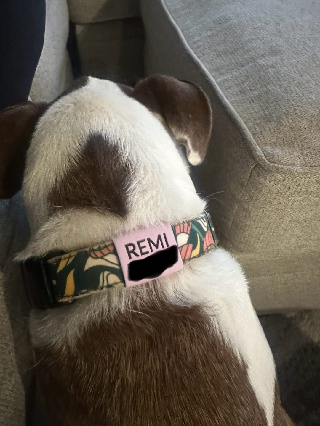 Customer photo review of Silent Slide-On ID Tag : 1"