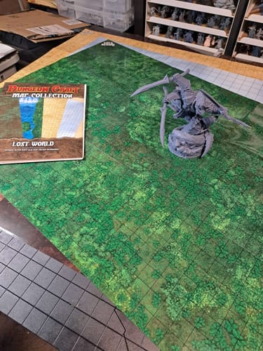 Customer photo review of BattleMap: Lost World 4 Map Pack