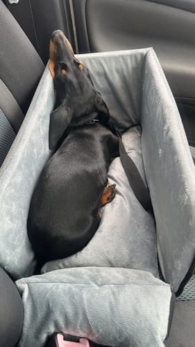 Customer photo review of Pawz Pet Dog Car Center Console Seat Safe Belt Protector Travel Bed Washable
