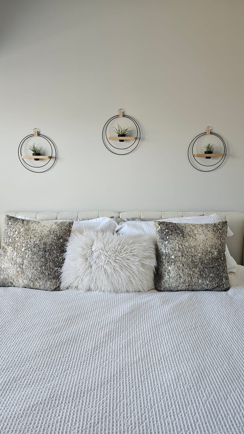 Customer photo review of Air Plant Shelf + Pot Trio