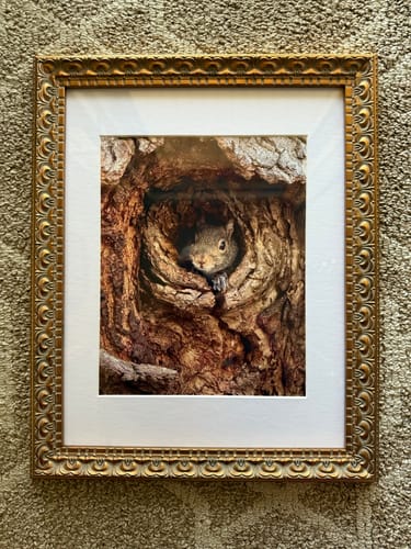 Customer photo review of 4x6 Matting Package Print