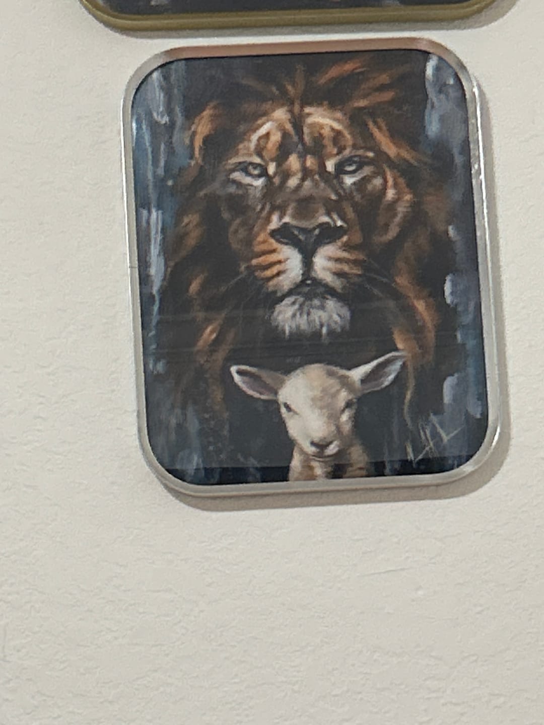Customer photo review of The Lion and Lamb Passover