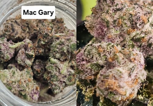 Customer photo review of Gold Spectrum THCA Flower (Exotic) - Mac Gary