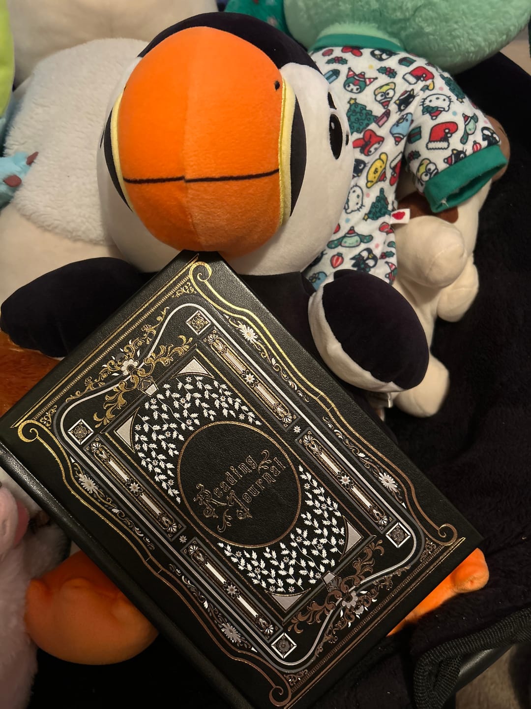 Customer photo review of Reading Journal - Black
