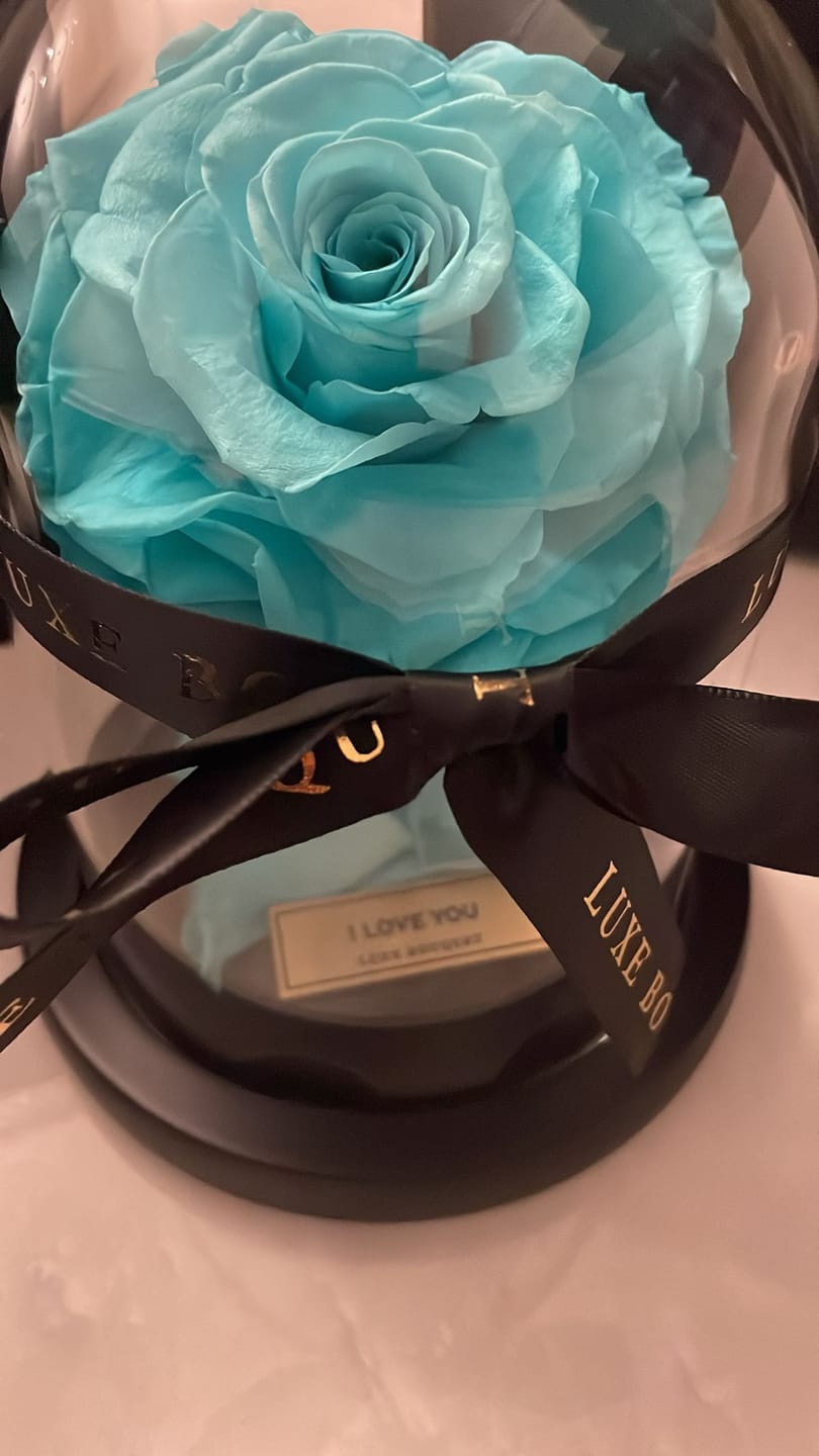 Customer photo review of Mini Everlasting Rose - Aqua Blue
