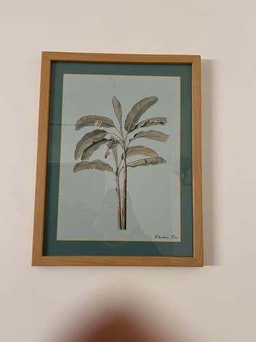 Customer photo review of Boho Plantsman