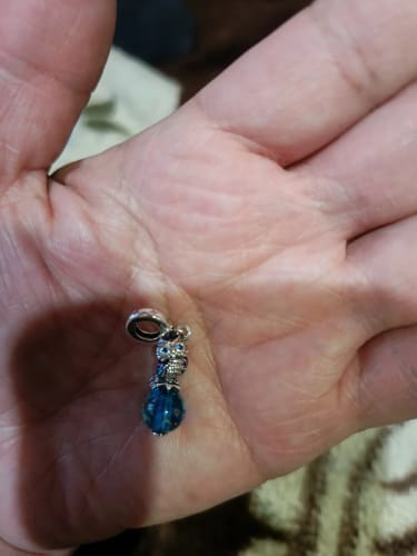 Customer photo review of 925 Sterling Silver Glow in the Dark Owl Charm