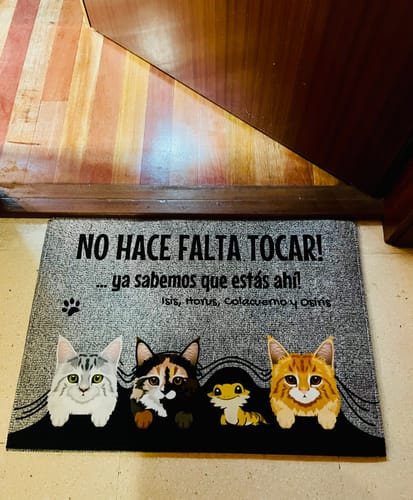 Customer photo review of No hace falta tocar - Felpudo personalizado