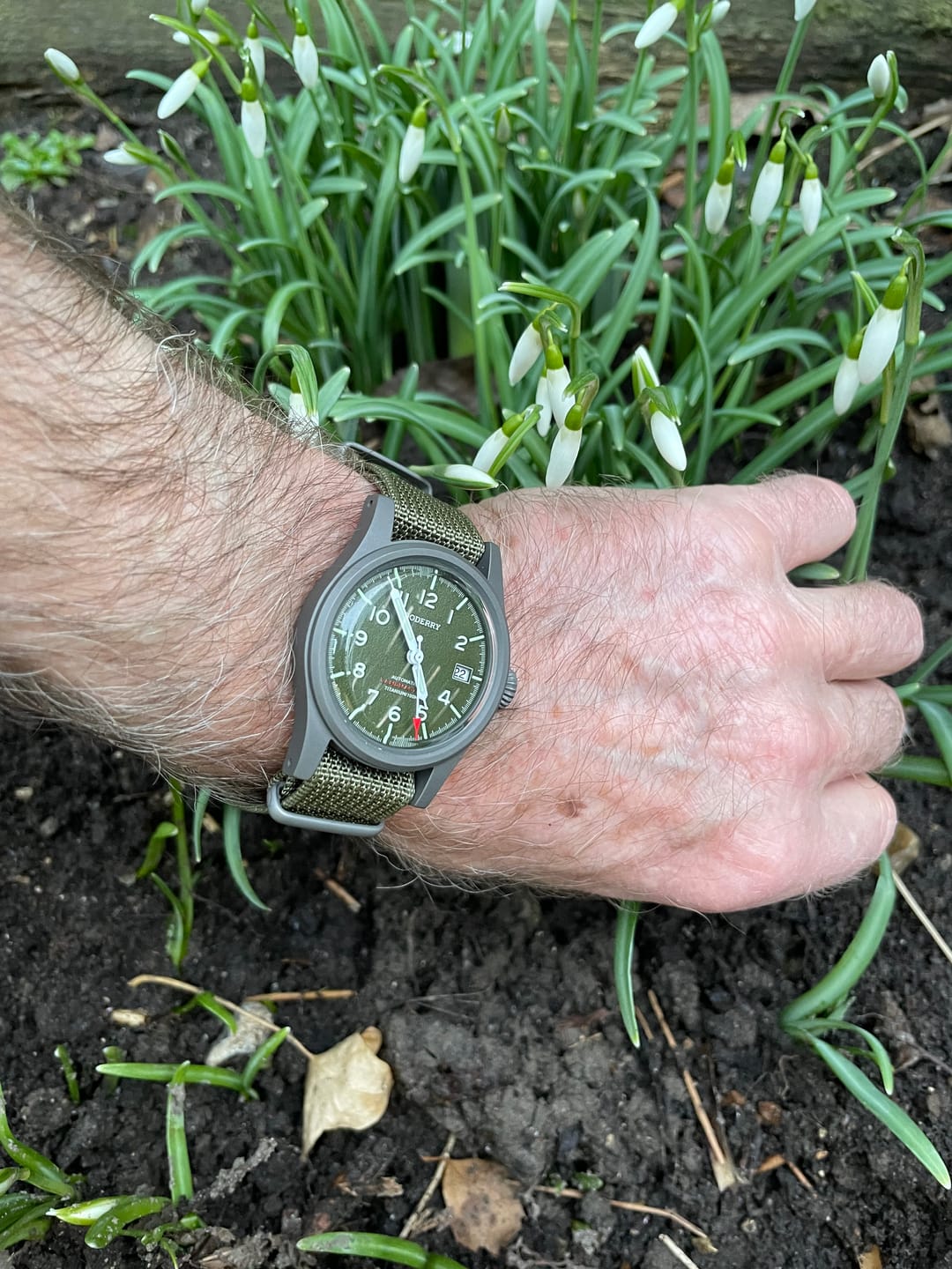 Customer photo review of LANDMASTER - 100M Waterproof Titanium Automatic Field Watch | Green