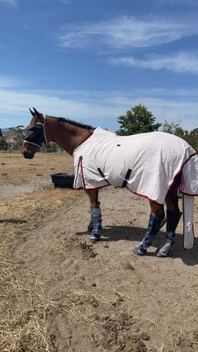 Customer photo review of LE Defender Fly Boots