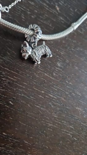 Customer photo review of 925 Sterling Silver Yorkie Charm