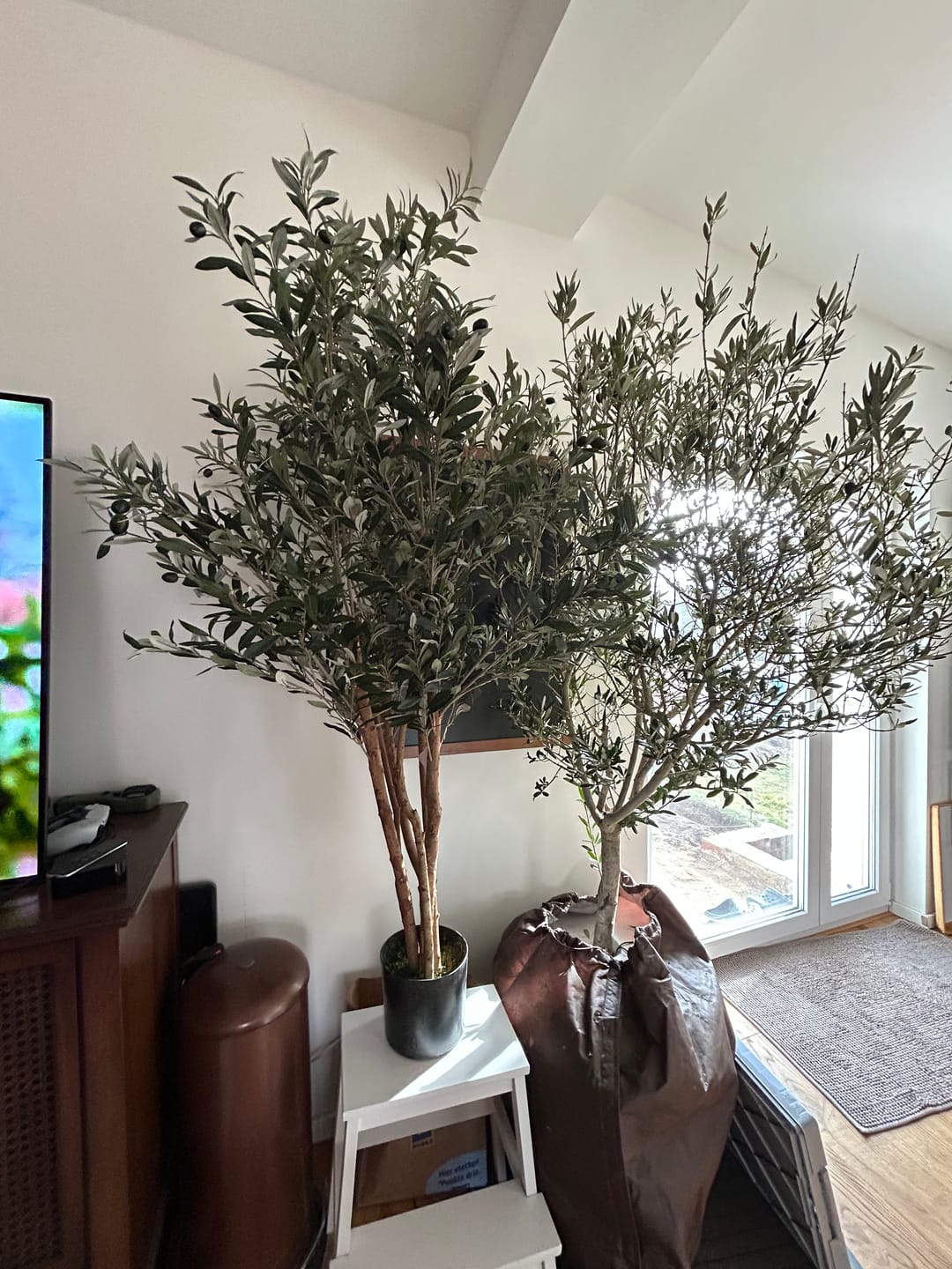 Customer photo review of Künstlicher Olivenbaum 180cm