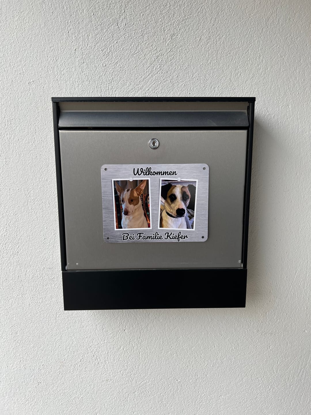Customer photo review of Hunde-Türschild personalisiert mit Foto & Text (UV- und wetterfest)