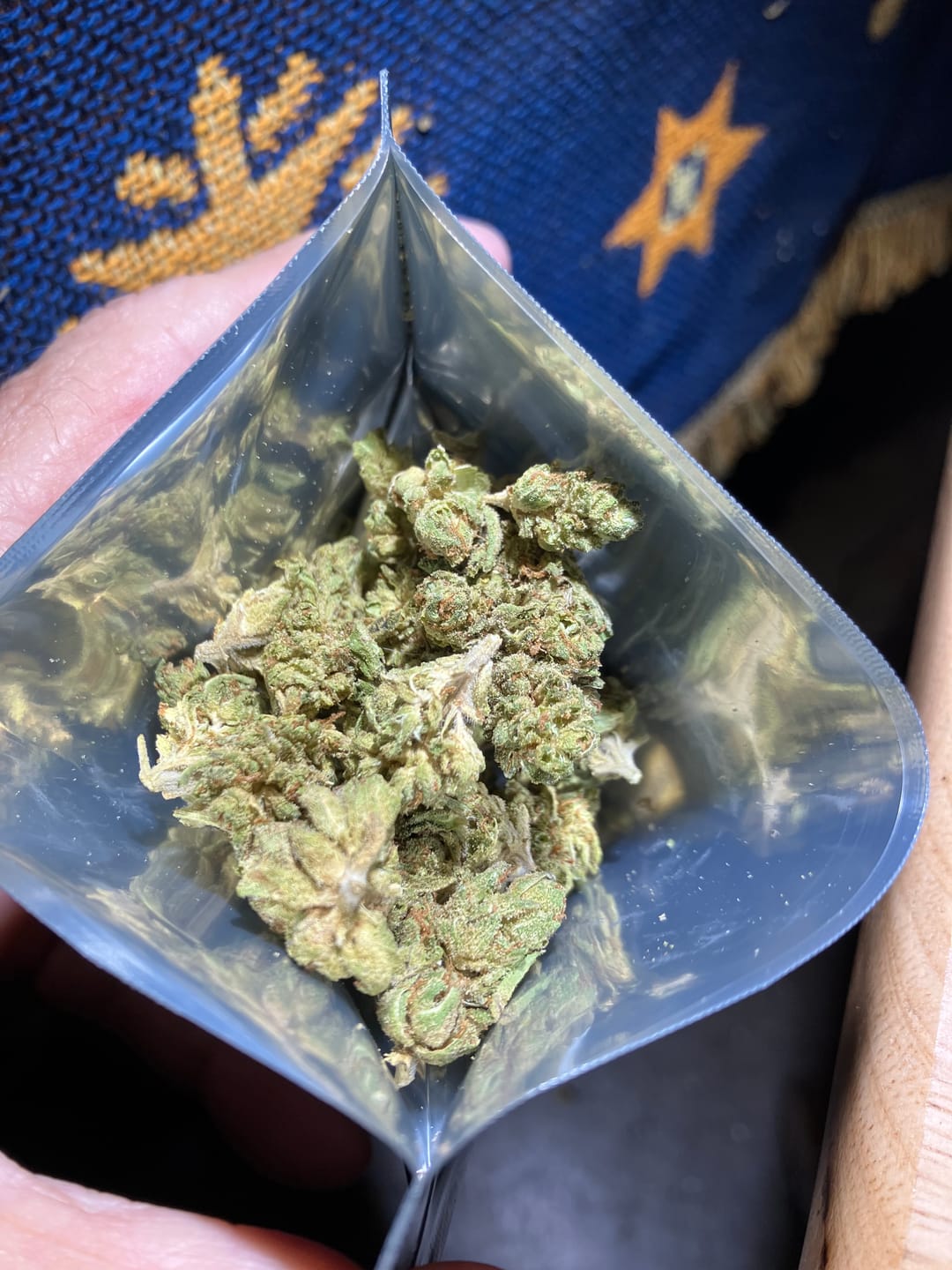Customer photo review of Purple Haze