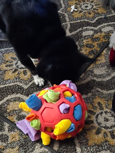 Customer photo review of Sniffle