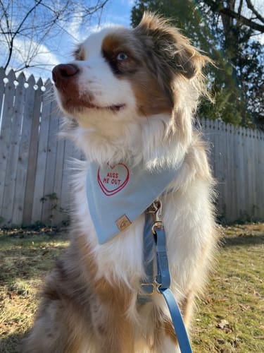 Customer photo review of Conversation Heart Embroidered Bandana