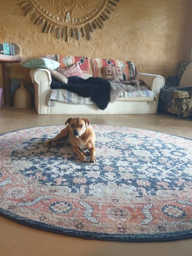Customer photo review of Heritage Navy Round Rug