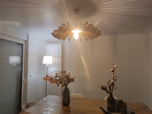 Customer photo review of Aurora | Suspension