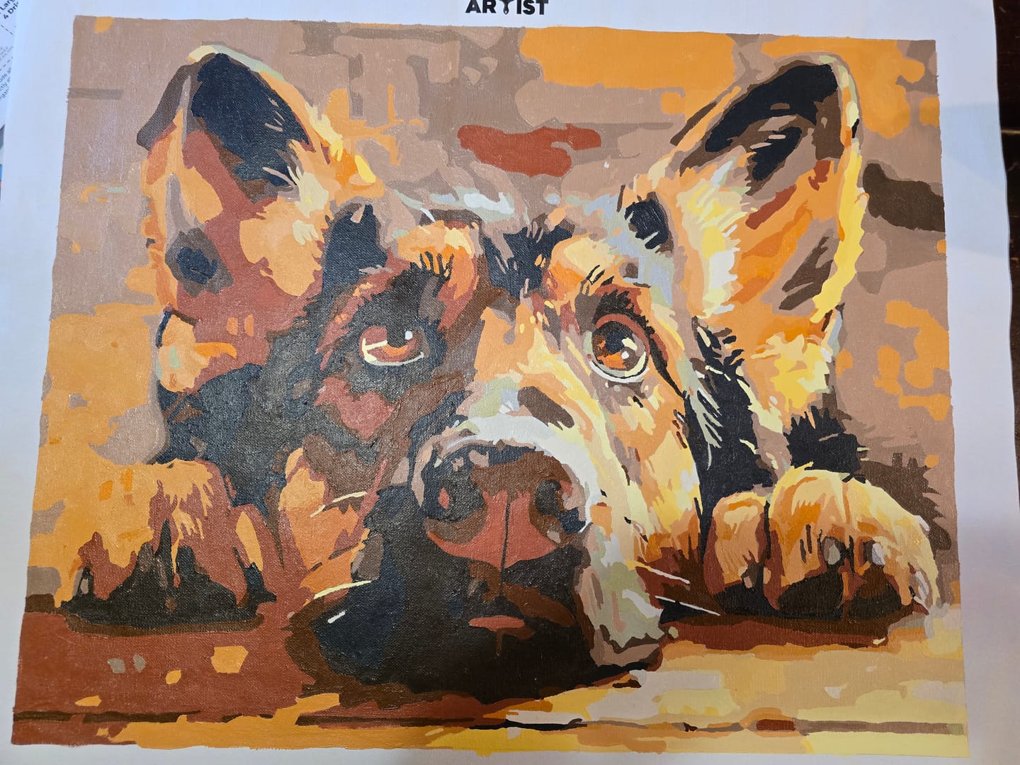 Customer photo review of Bored Shepherd