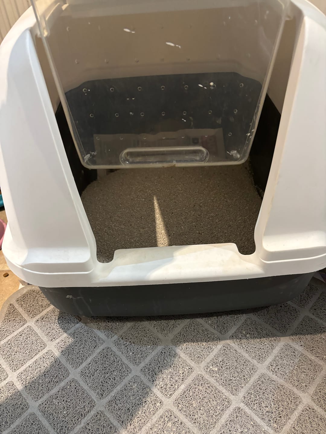 Customer photo review of W225 Scented Range - 10KG