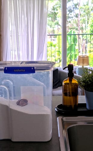 Customer photo review of Hudstone Powder Pack (Free Shipping - Scoops included)