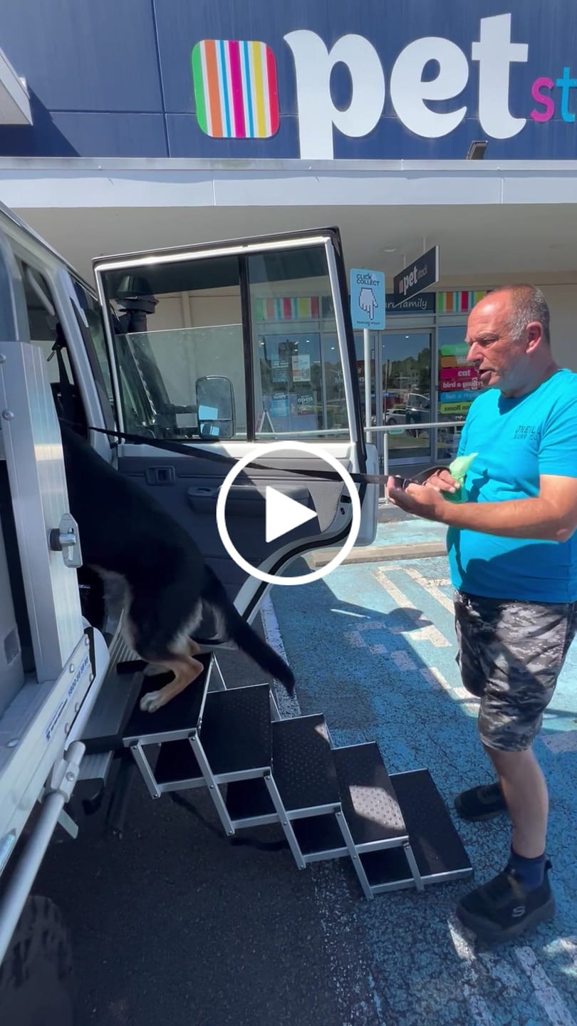 Customer video review of PaWz Foldable Aluminum Pet Steps