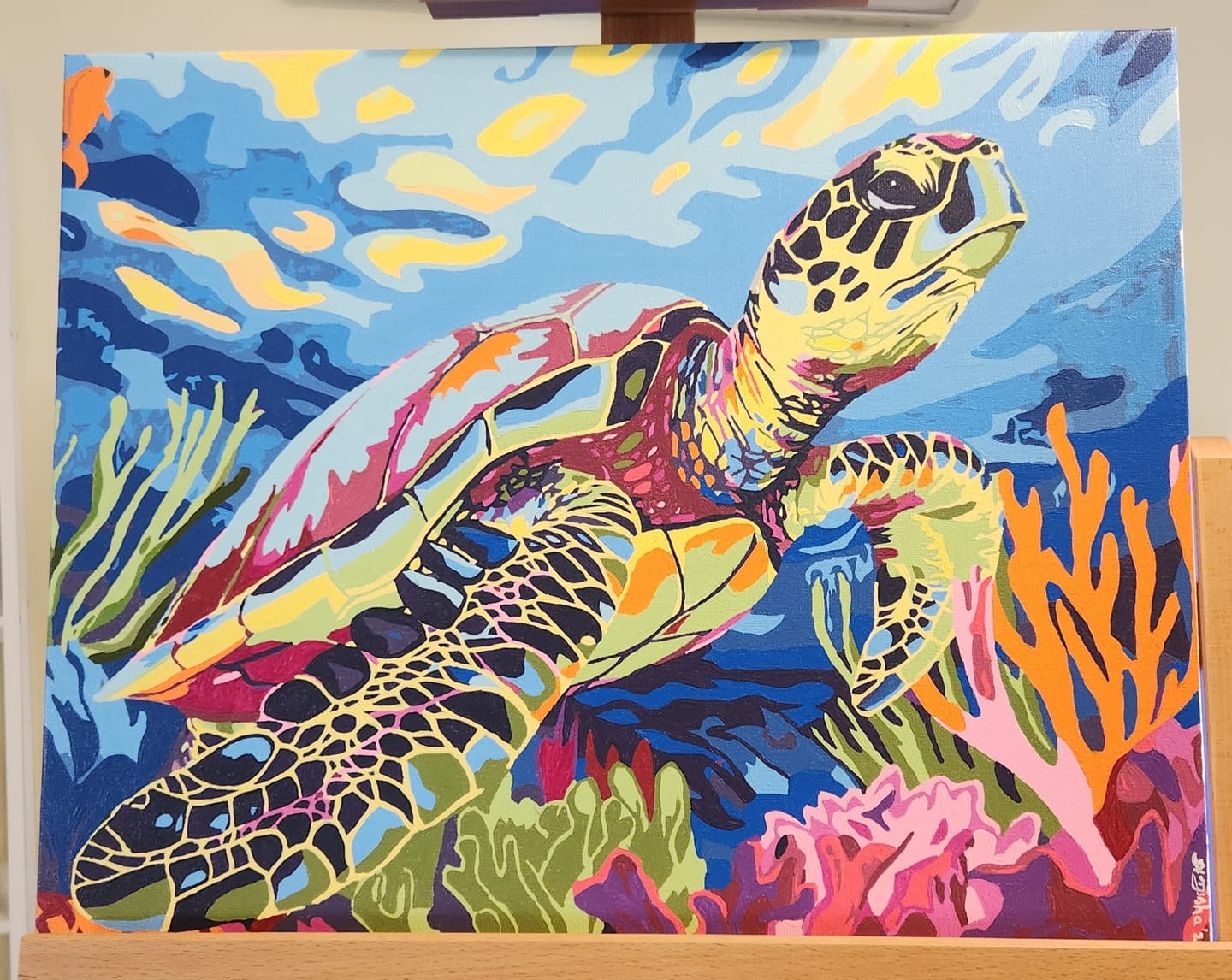 Customer photo review of Coral Reef Turtle