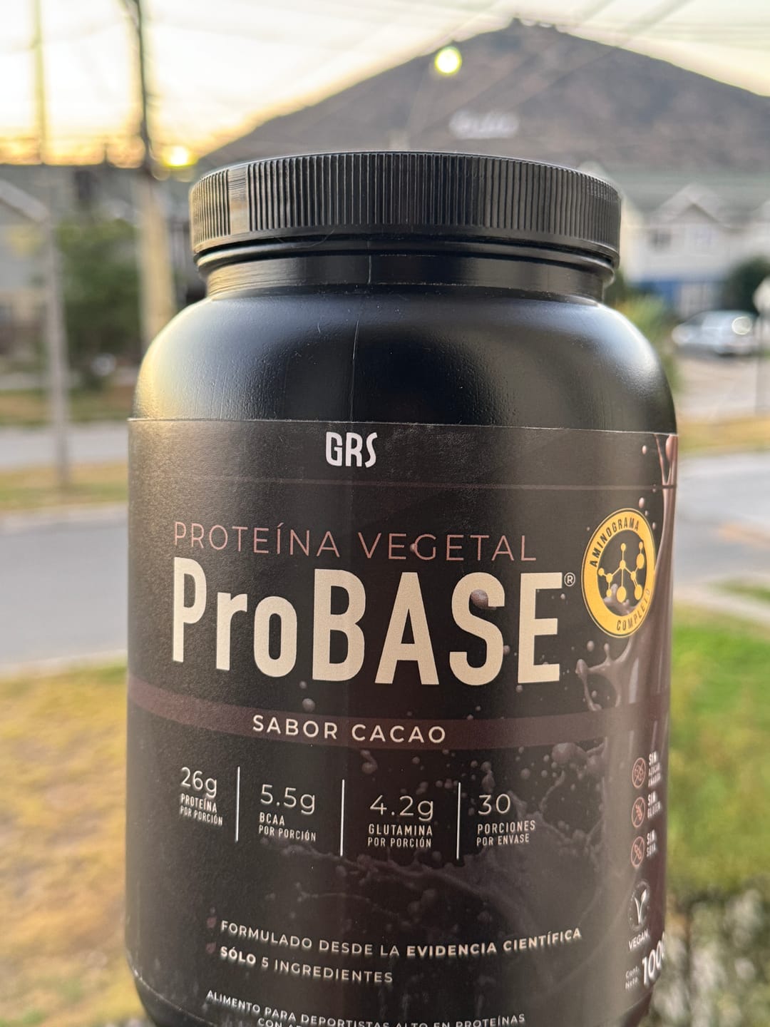Customer photo review of Proteína ProBASE Cacao