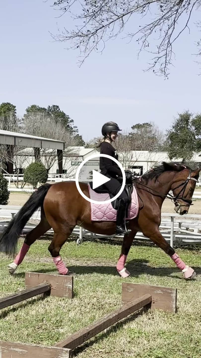 Customer video review of PSOS Dressage Pad Signature, Faded Rose