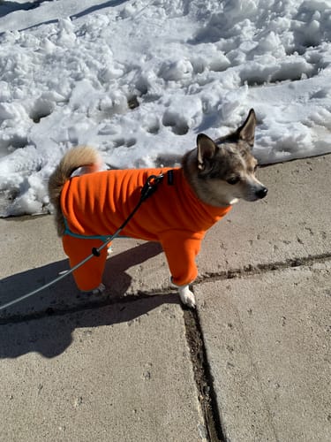 Customer photo review of NEW Fleece Pull-Over