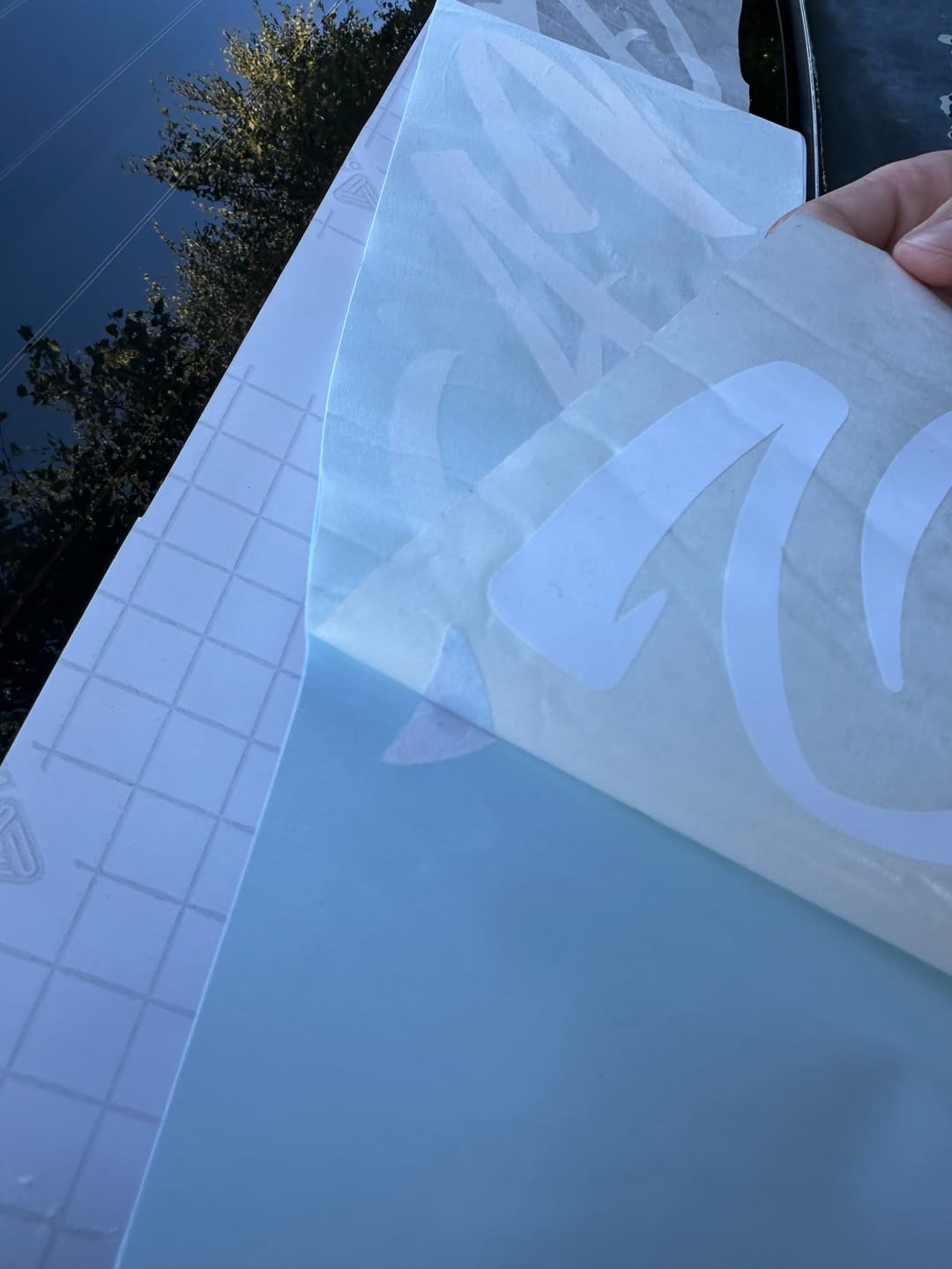 Customer photo review of Custom Text Banner (90cm)