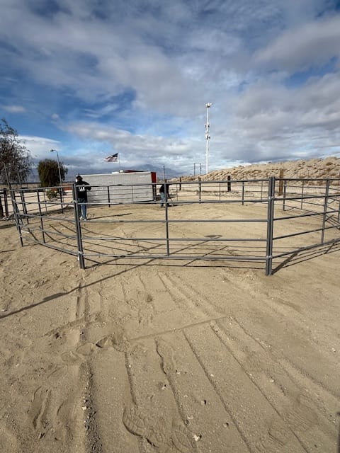 Customer photo review of 40ft Round Pen (5-Rail) 14-Gauge Steel