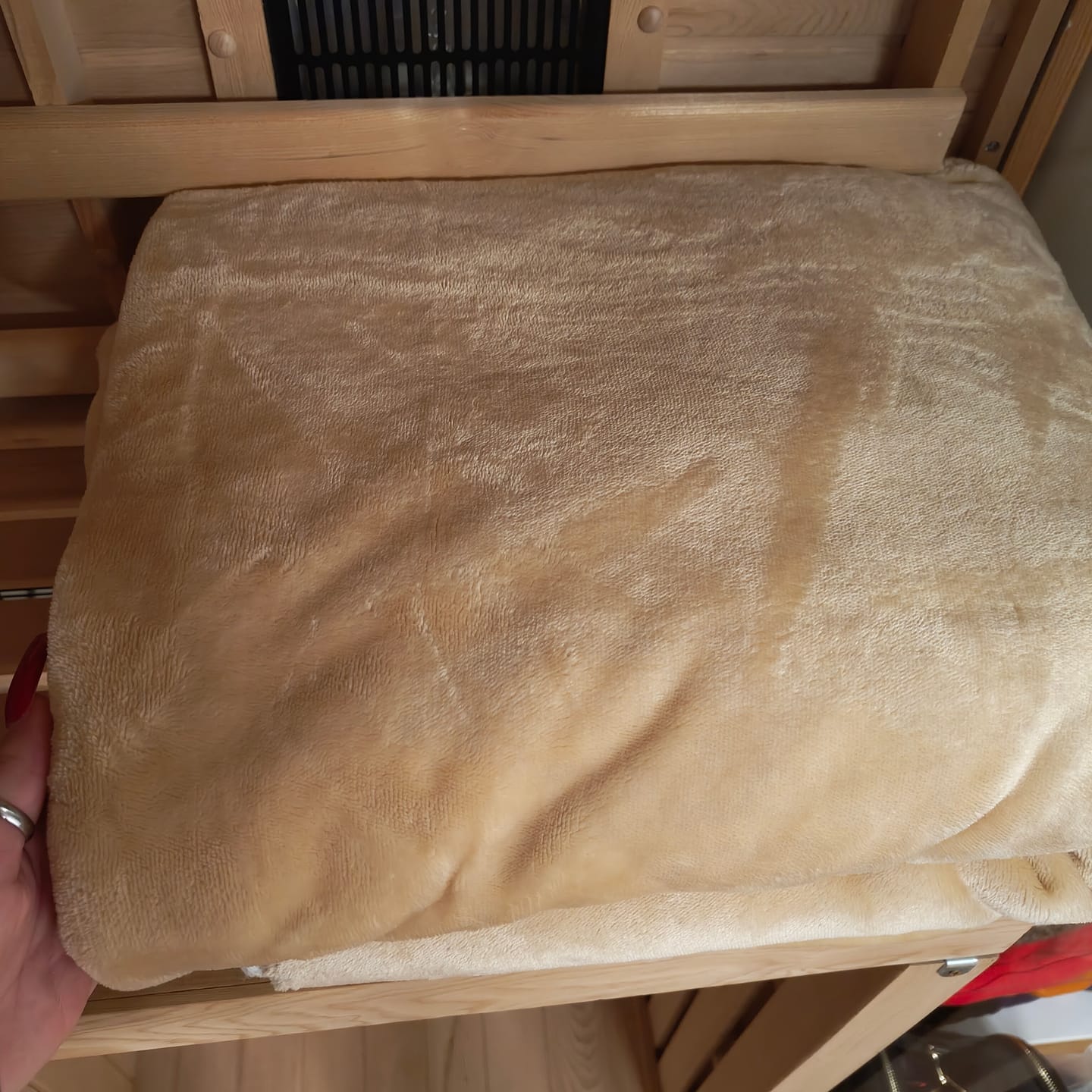 Customer photo review of The Minky Waterproof Splash Blanket™ -Honey