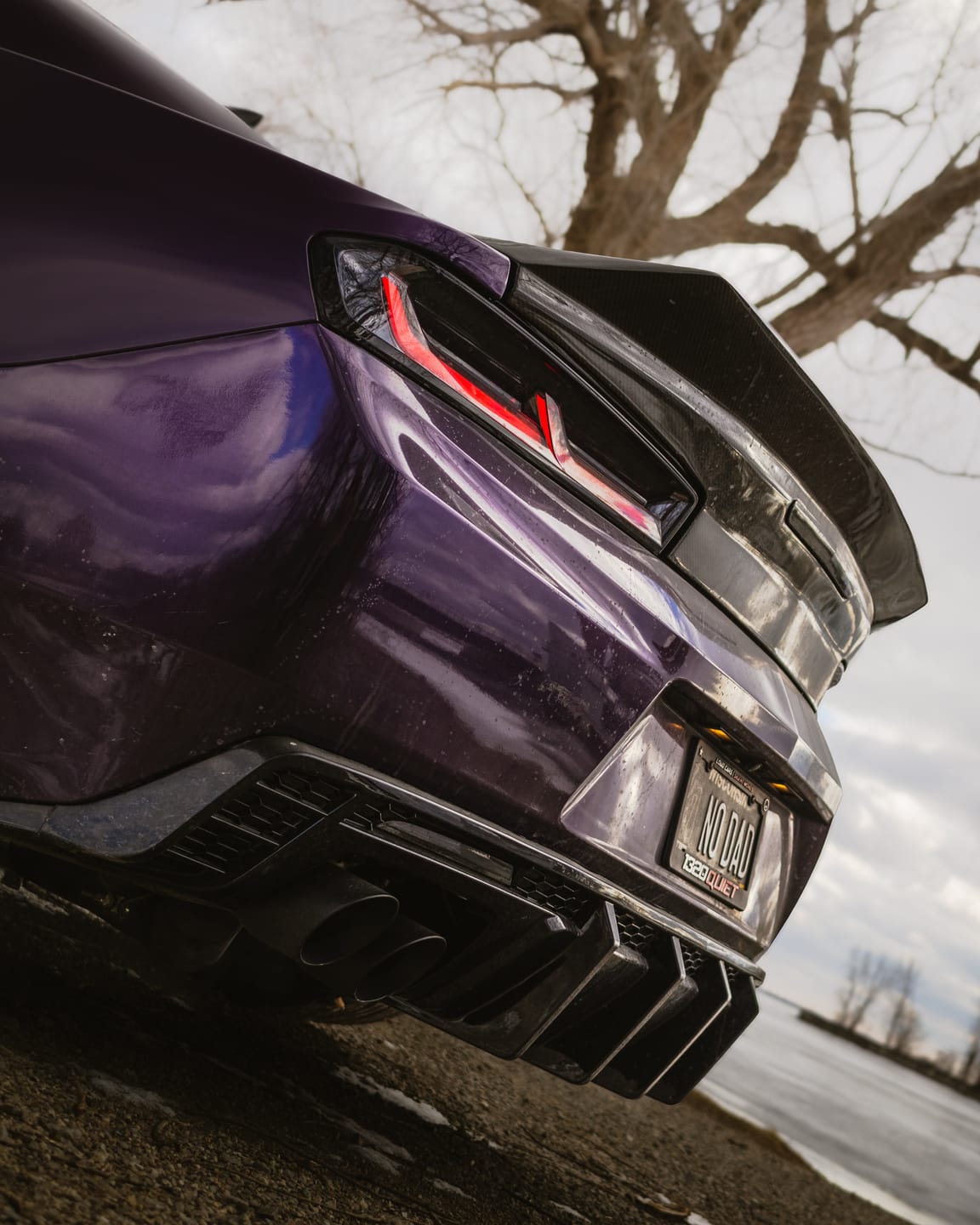 Customer photo review of 2016-2025 Chevy Camaro Evo Style Shark Fins Rear Diffuser Quad/Single Tips SS/RS/LT w/ Smoke Reflectors