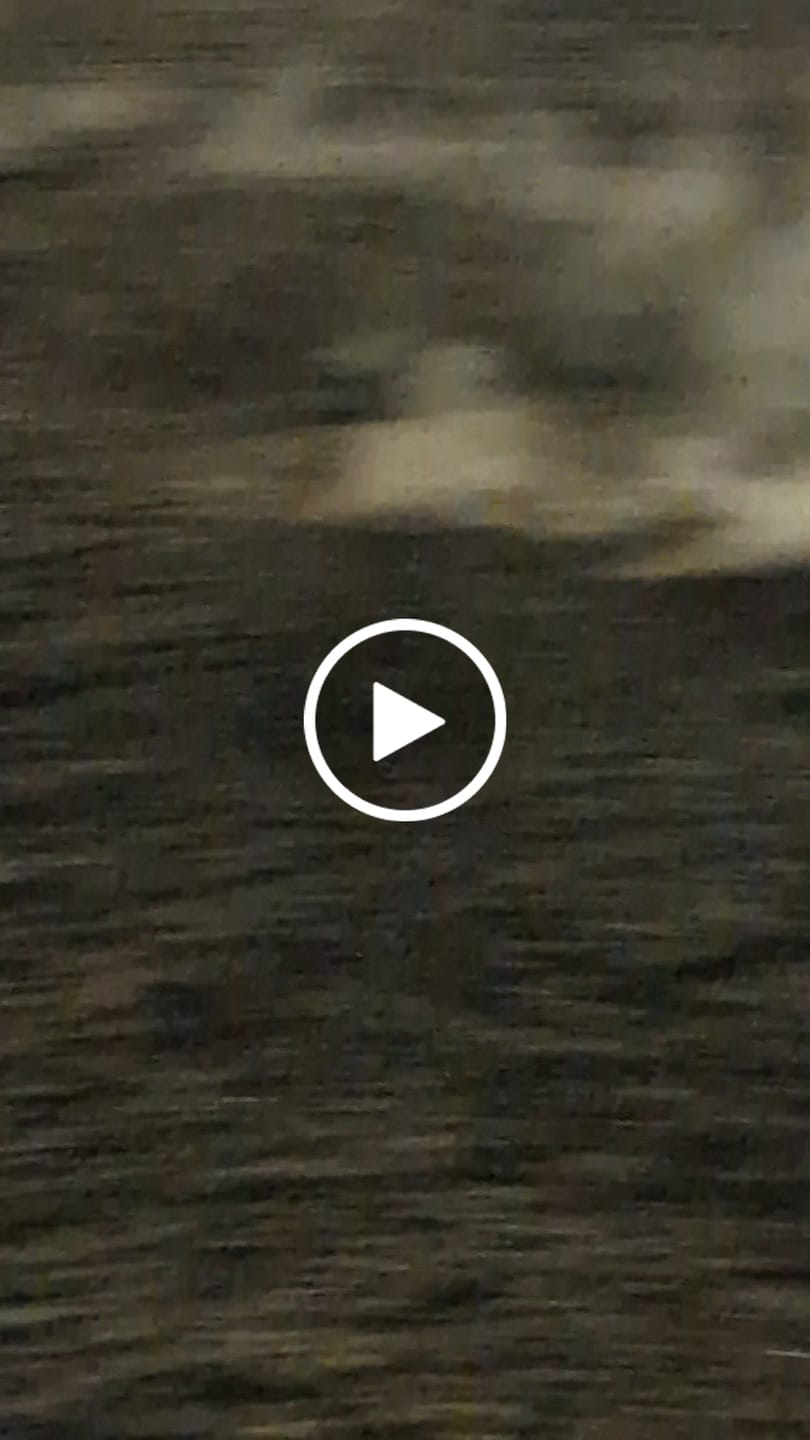 Customer video review of RC Paddle Tires For RZ001