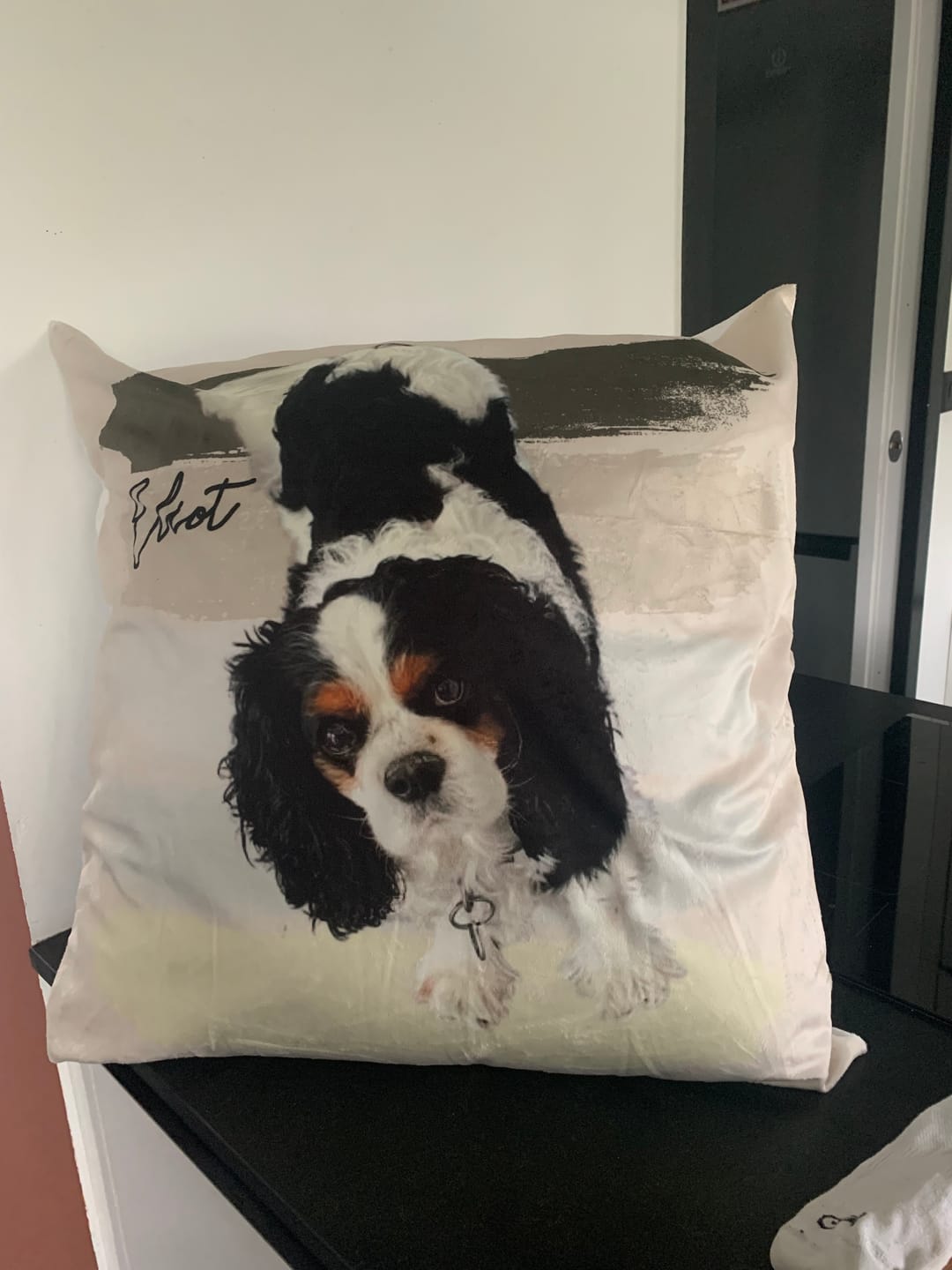 Customer photo review of Photo avec rayures aquarelles - Coussin personnalisé