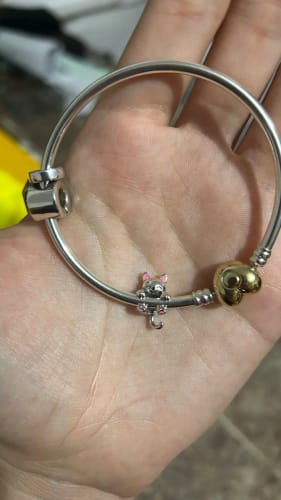 Customer photo review of 925 Sterling Silver Kitty Cat Charm