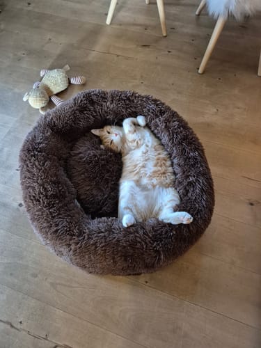 Customer photo review of Puppery Hundebett Wolke 7 - Das Original