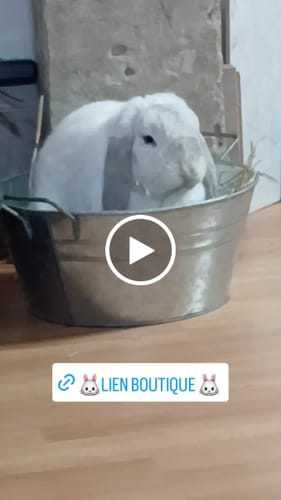 undefined review of Bloc de foin image 1 out of 1
