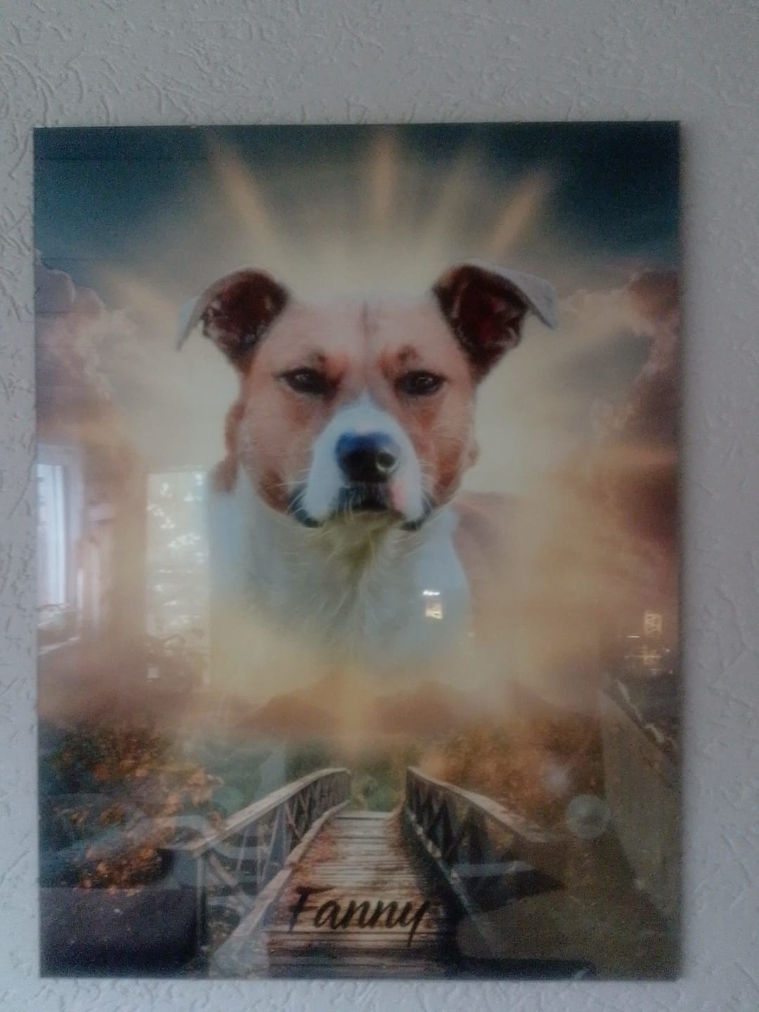 Customer photo review of Personalisiertes Portrait - Sonnen Stil