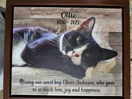 Customer photo review of Colored Pet Memorial Sign