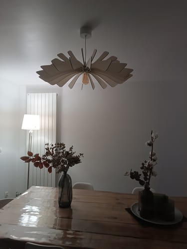 Customer photo review of Aurora | Suspension