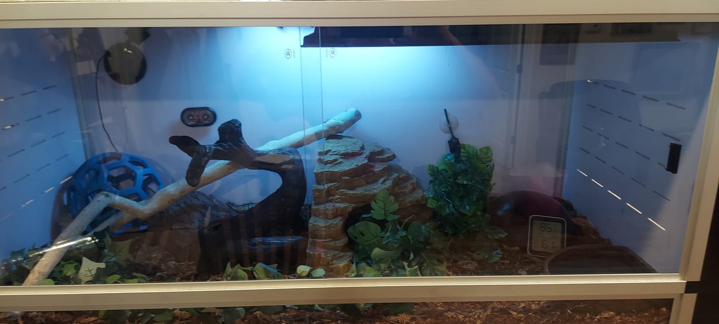 Customer photo review of Radiant Heat Panel, Flush Mount for Reptile Enclosure (14"x21")