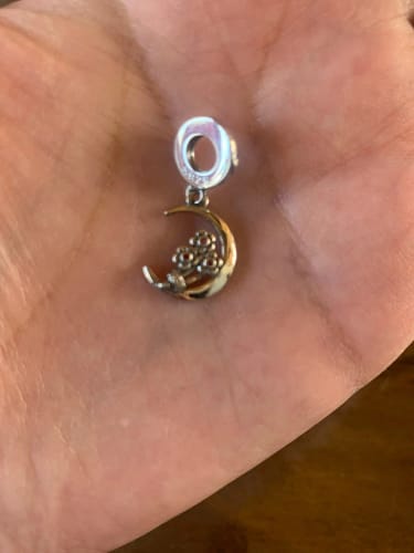 Customer photo review of 925 Sterling Silver Moon and Flowers Charm