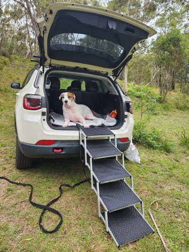 Customer photo review of PaWz Foldable Aluminum Pet Steps