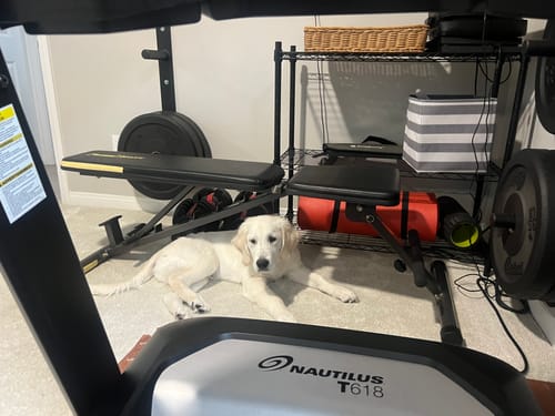 Customer photo review of Pinnacles National Park Commemorative Poster: A Pop Art Tribute