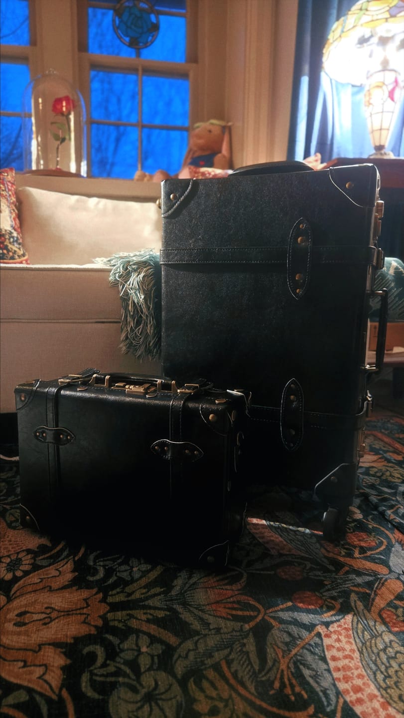 Customer photo review of (United States)Minimalism Carry-On Set - Train Case