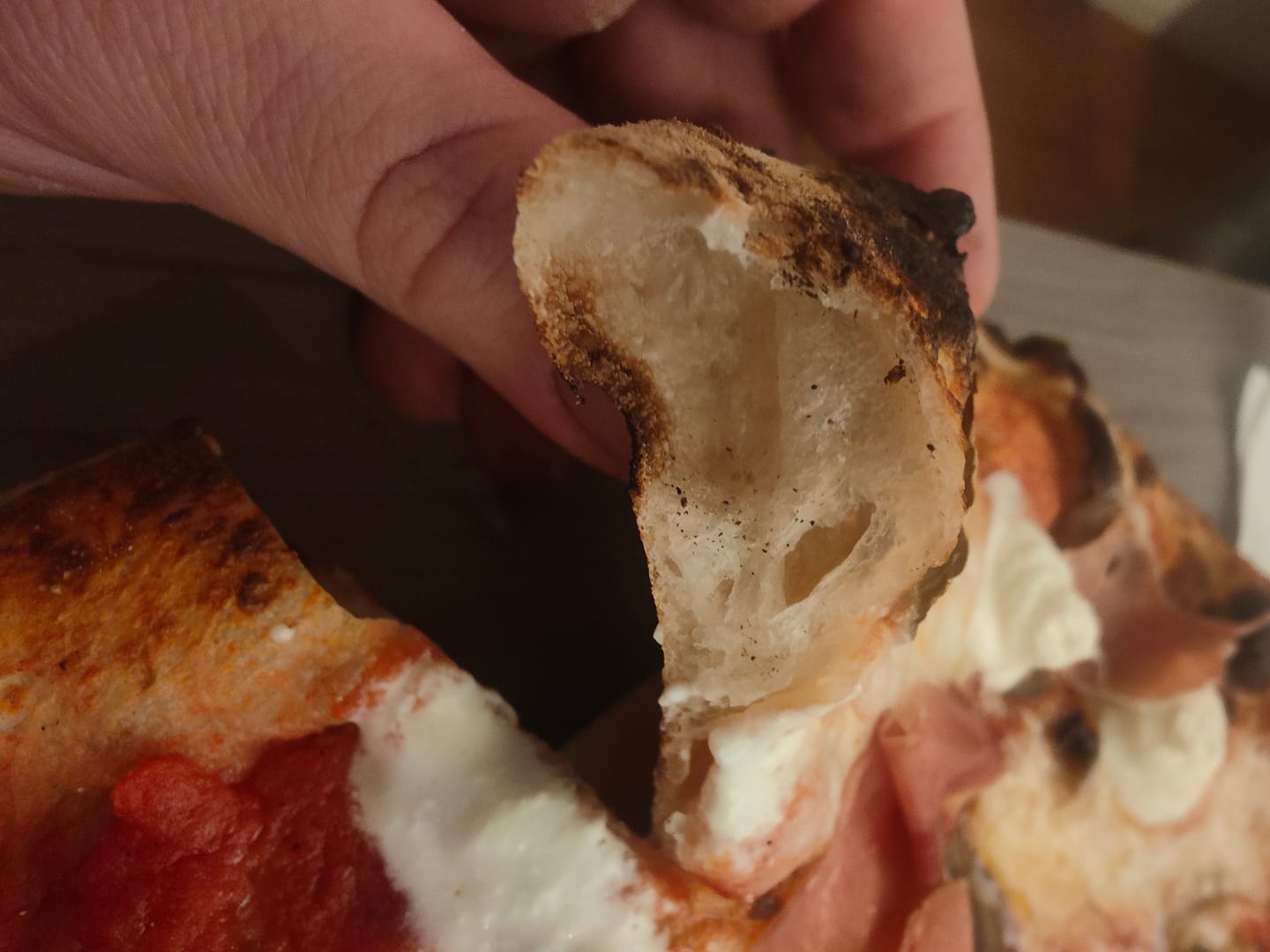 Customer photo review of Gozney Arc XL Gas Pizzaofen