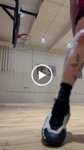 Customer video review of Ranger1 Zebra