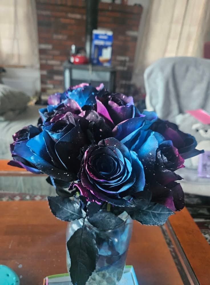 Customer photo review of Starry Galaxy Roses